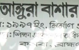 বর্ণি আলহাজ্ব আঙ্গুরা বাশার বালিকা উচ্চ বিদ্যালয়